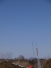 nmt_21